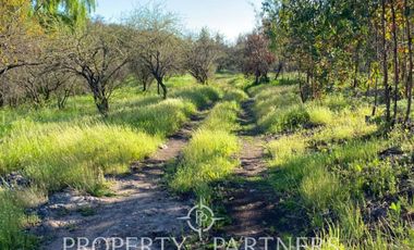 PRECIOSO CAMPO A LA VENTA
