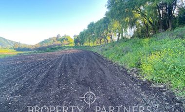 PRECIOSO CAMPO A LA VENTA