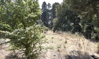 Venta de Terreno, sobre carretera a Ecatzingo, Atlautla, Edo. Mex.