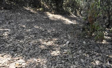 Venta de Terreno, Cerca de carretera a Ecatzingo, Atlautla, Edo. Mex.