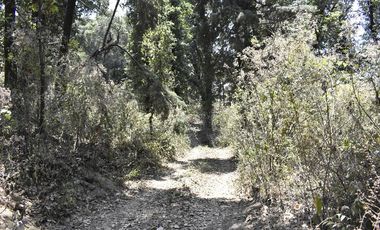 Venta de Terreno, Cerca de carretera a Ecatzingo, Atlautla, Edo. Mex.