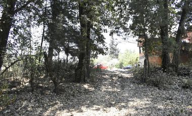Venta de Terreno, Cerca de carretera a Ecatzingo, Atlautla, Edo. Mex.