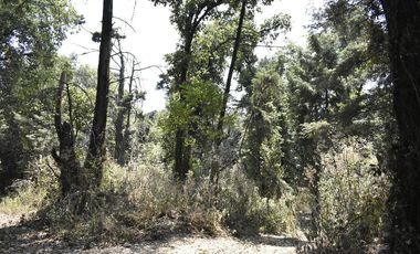 Venta de Terreno, Cerca de carretera a Ecatzingo, Atlautla, Edo. Mex.