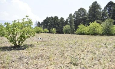 Venta de Terreno, Cerca de carretera a Ecatzingo, Atlautla, Edo. Mex.