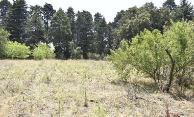Venta de Terreno, Cerca de carretera a Ecatzingo, Atlautla, Edo. Mex.