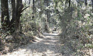 Venta de Terreno, Cerca de carretera a Ecatzingo, Atlautla, Edo. Mex.