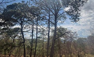 TERRENOS EN PREVENTA EN MAZAMITLA dentro de la Toscana