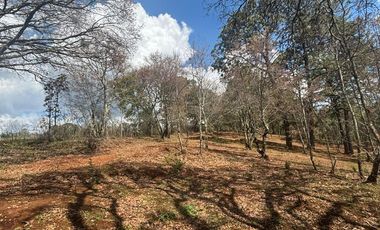 TERRENOS EN PREVENTA EN MAZAMITLA dentro de la Toscana