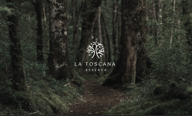 TERRENOS EN PREVENTA EN MAZAMITLA dentro de la Toscana