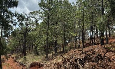 TERRENOS EN PREVENTA EN MAZAMITLA dentro de la Toscana