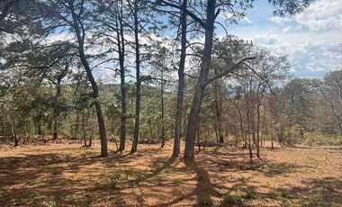 TERRENOS EN PREVENTA EN MAZAMITLA dentro de la Toscana