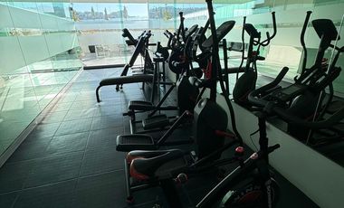 Departamento en renta ZONA DORADA