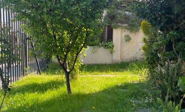 CARLOS ZAÑARTU CON ALFEREZ REAL