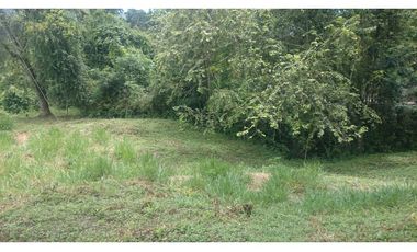 Vendo en Utica Finca Ganadera Y Productiva