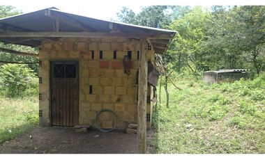 Vendo en Utica Finca Ganadera Y Productiva
