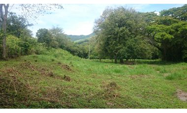Vendo en Utica Finca Ganadera Y Productiva