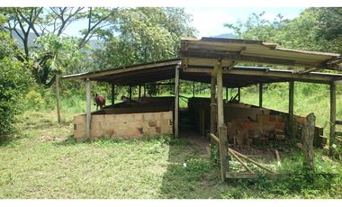 Vendo en Utica Finca Ganadera Y Productiva