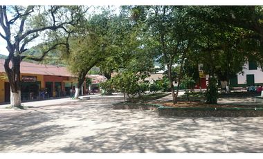 Vendo en Utica Finca Ganadera Y Productiva