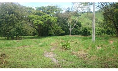 Vendo en Utica Finca Ganadera Y Productiva