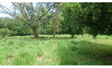 Vendo en Utica Finca Ganadera Y Productiva