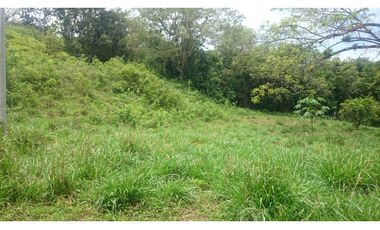 Vendo en Utica Finca Ganadera Y Productiva