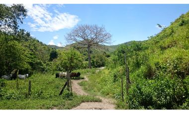 Vendo en Utica Finca Ganadera Y Productiva