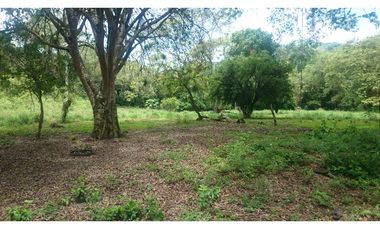 Vendo en Utica Finca Ganadera Y Productiva