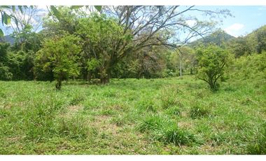 Vendo en Utica Finca Ganadera Y Productiva