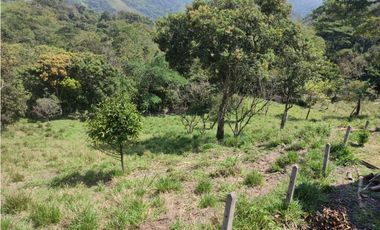Vendo Finca en Sasaima