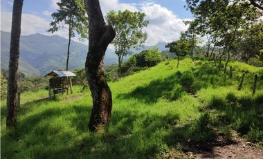 Vendo Finca en Sasaima