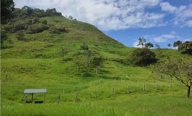 Vendo Finca en Sasaima