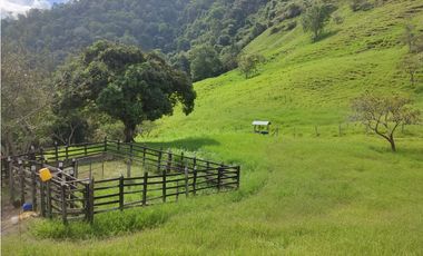 Vendo Finca en Sasaima
