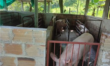 Vendo Finca en Sasaima