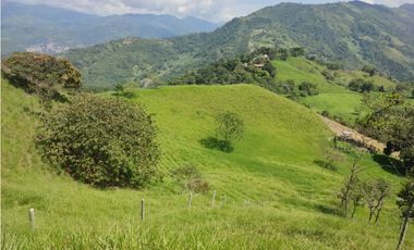 Vendo Finca en Sasaima