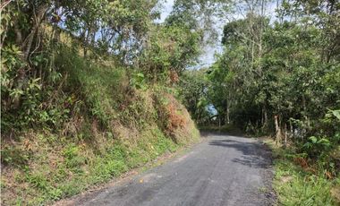 Vendo Finca en Sasaima