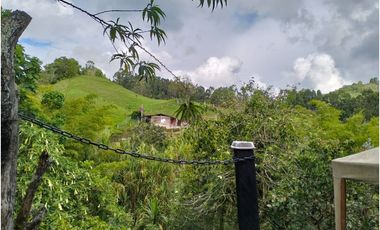 VENTA CASA EN SALENTO QUINDIO