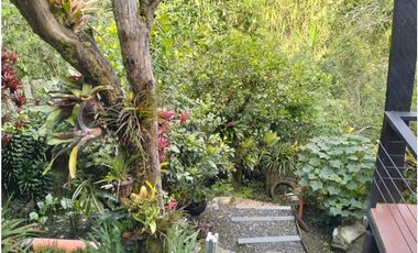 VENTA CASA EN SALENTO QUINDIO