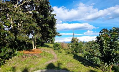 SE VENDE CASA LOTE EN ALCALA, VALLE.