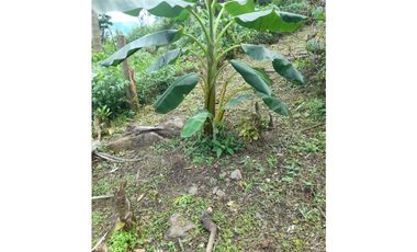 LOTE SE VENDE MESITAS DEL COLEGIO