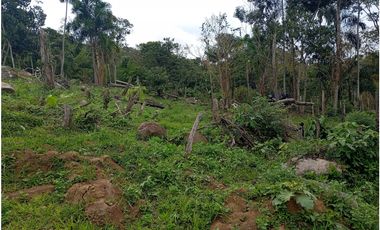 LOTE SE VENDE MESITAS DEL COLEGIO