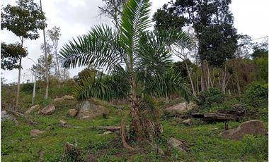 LOTE SE VENDE MESITAS DEL COLEGIO