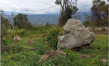 LOTE SE VENDE MESITAS DEL COLEGIO