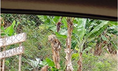 LOTE SE VENDE MESITAS DEL COLEGIO