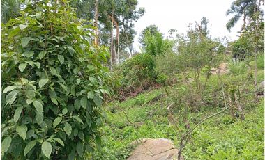 LOTE SE VENDE MESITAS DEL COLEGIO