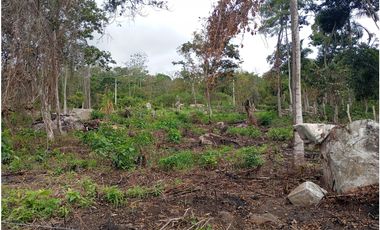 LOTE SE VENDE MESITAS DEL COLEGIO