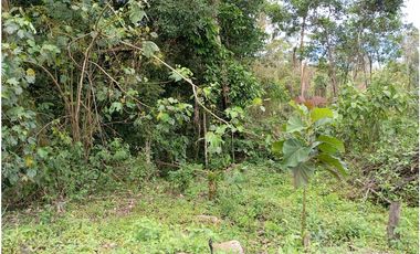 LOTE SE VENDE MESITAS DEL COLEGIO