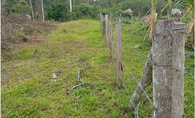 LOTE SE VENDE MESITAS DEL COLEGIO