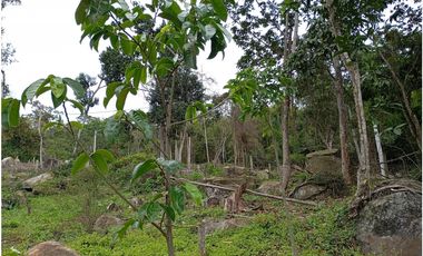 LOTE SE VENDE MESITAS DEL COLEGIO