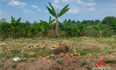 Lote en Altagracia, Pereira