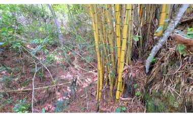 Vendo Casa Campestre Barichara Vereda Paramito Granadillo de Luna